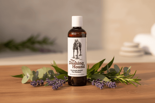Swap That for This: Natural Pet Care Swaps for Your Dog - Natural Common Scents