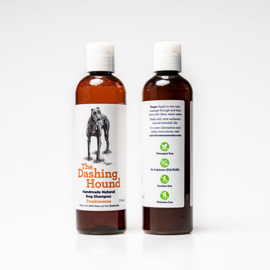The Dashing Hound 250ml - Frankincense. Natural Dog Shampoo - Natural Common Scents