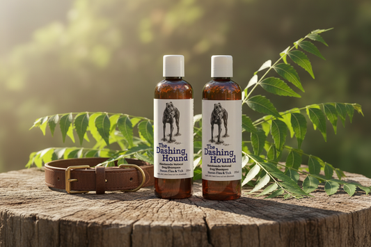 The Dashing Hound Neem lifestyle image